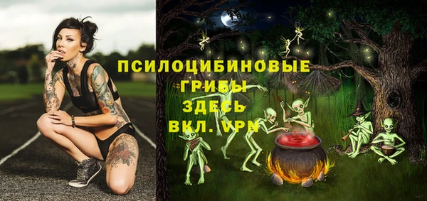 марки nbome Богданович