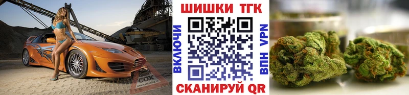 Конопля сатива  Купить  Кизляр 